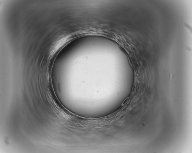 X0000098100005200804181437