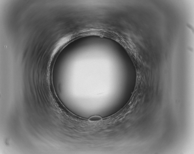 X0000098100006200804181437