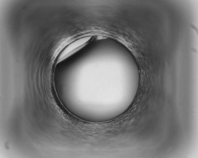 X0000098100007200804181437