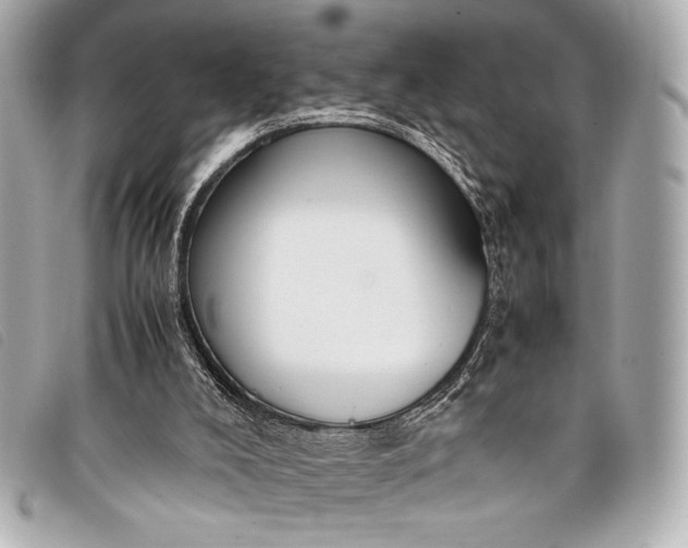 X0000098100008200804181437
