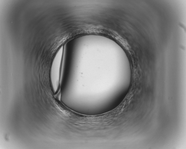 X0000098100009200804181437