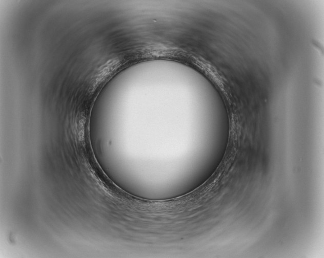 X0000098100010200804181437