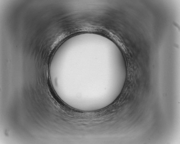 X0000098100011200804181437