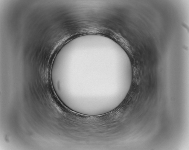 X0000098100012200804181437
