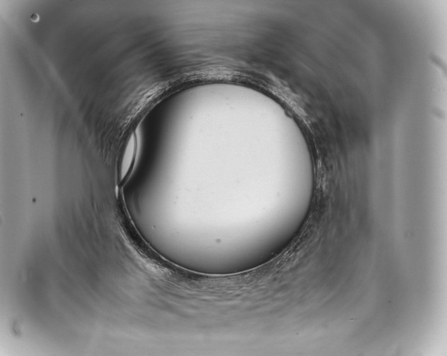 X0000098100013200804181437