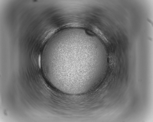 X0000098100014200804181437