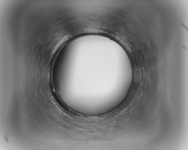 X0000098100015200804181437