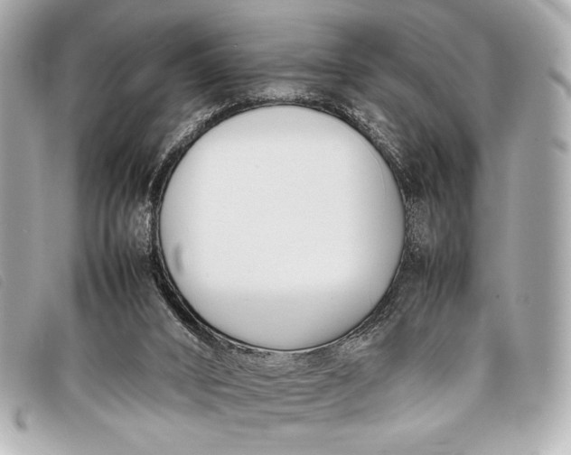 X0000098100016200804181437