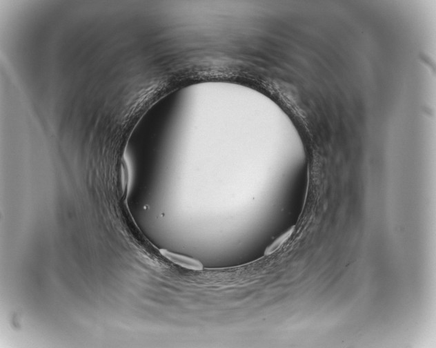 X0000098100017200804181437