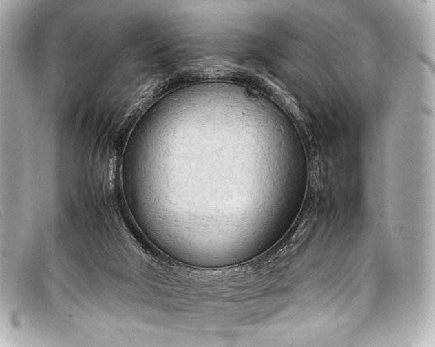 X0000098100018200804181437