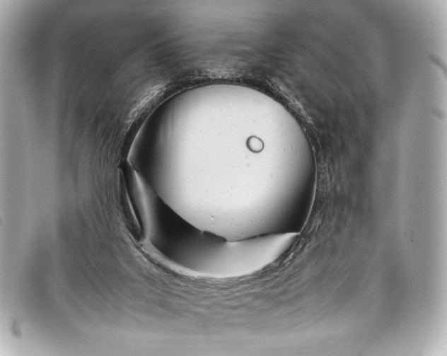 X0000098100019200804181437