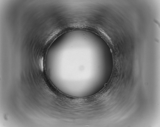 X0000098100020200804181437