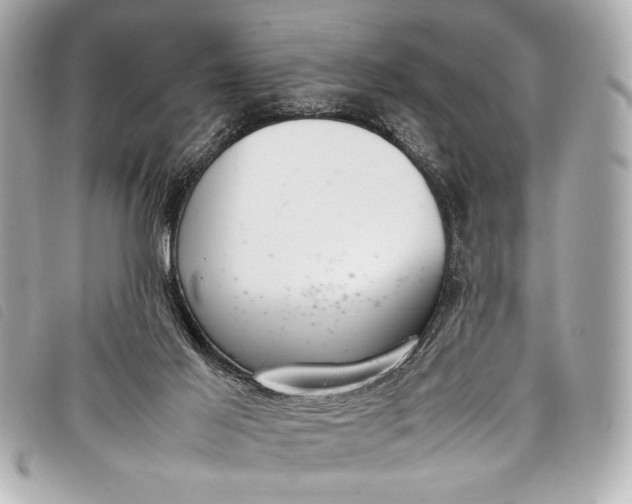 X0000098100021200804181437