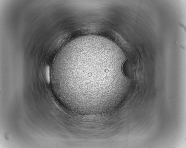 X0000098100022200804181437