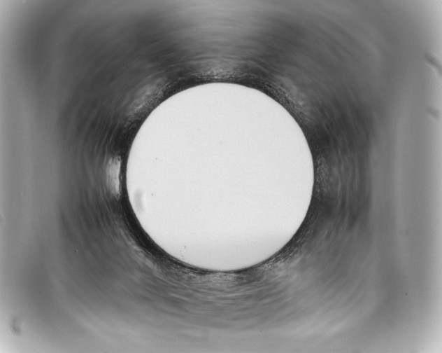 X0000098100024200804181437