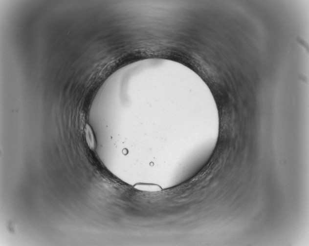 X0000098100025200804181437