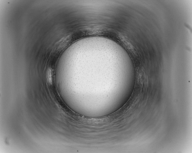 X0000098100026200804181437
