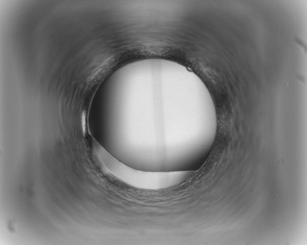 X0000098100027200804181437