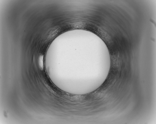 X0000098100028200804181437
