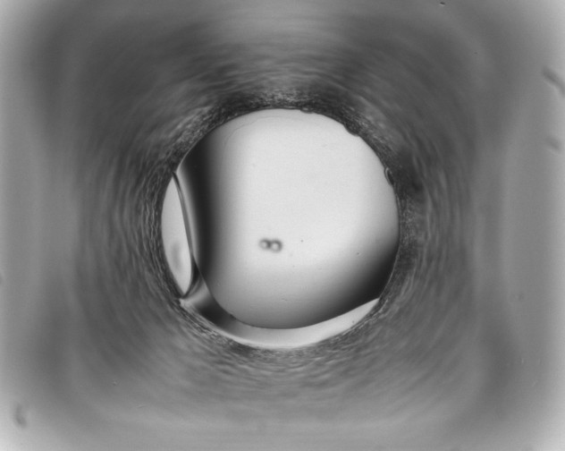 X0000098100029200804181437