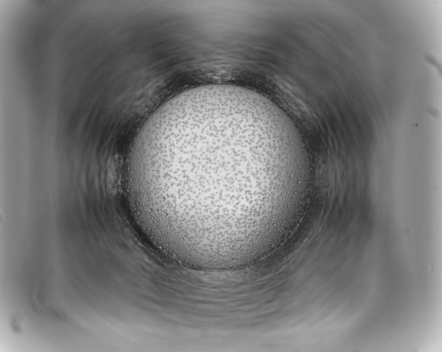 X0000098100030200804181437