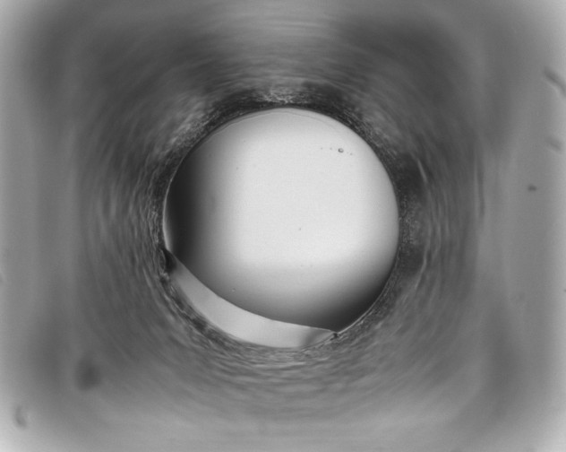 X0000098100031200804181437