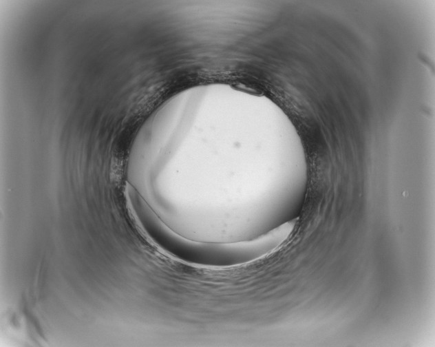 X0000098100033200804181437