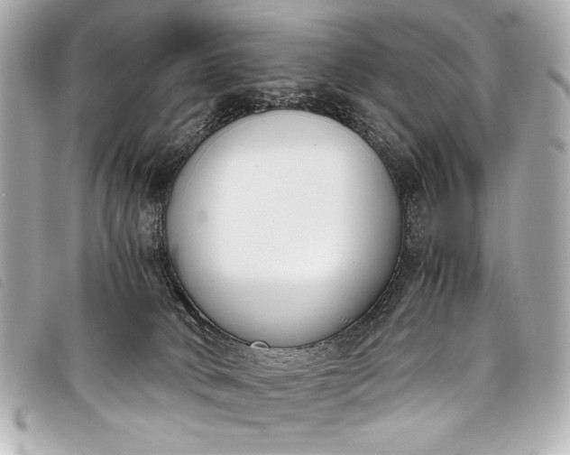 X0000098100034200804181437