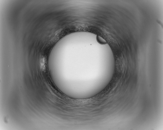 X0000098100038200804181437