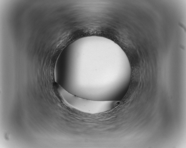 X0000098100039200804181437