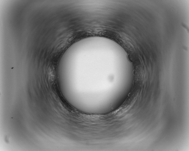 X0000098100040200804181437