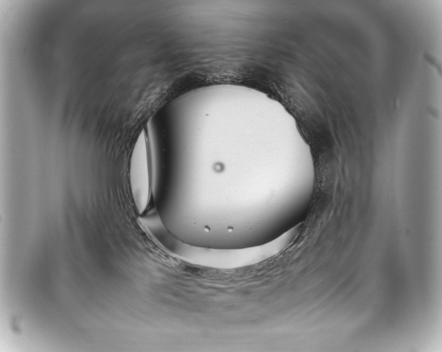 X0000098100041200804181436