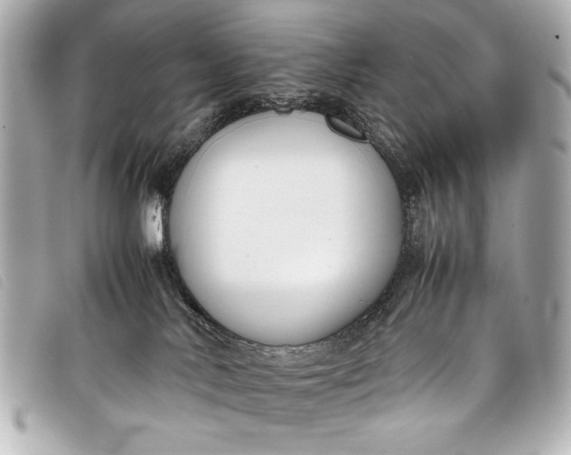 X0000098100042200804181436