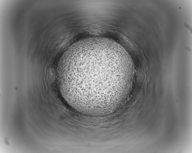 X0000098100043200804181436