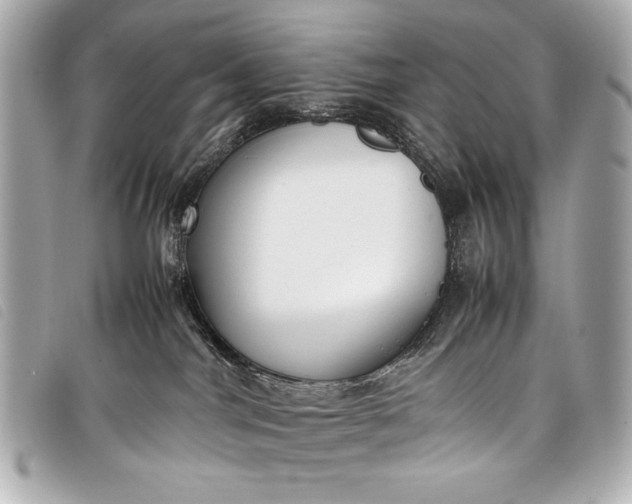 X0000098100044200804181436