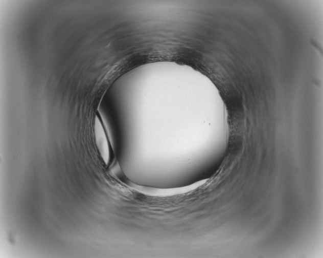 X0000098100045200804181436