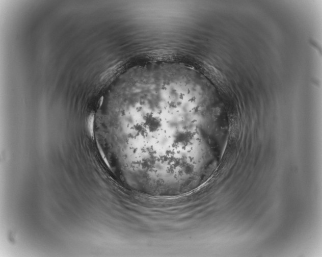 X0000098100047200804181436