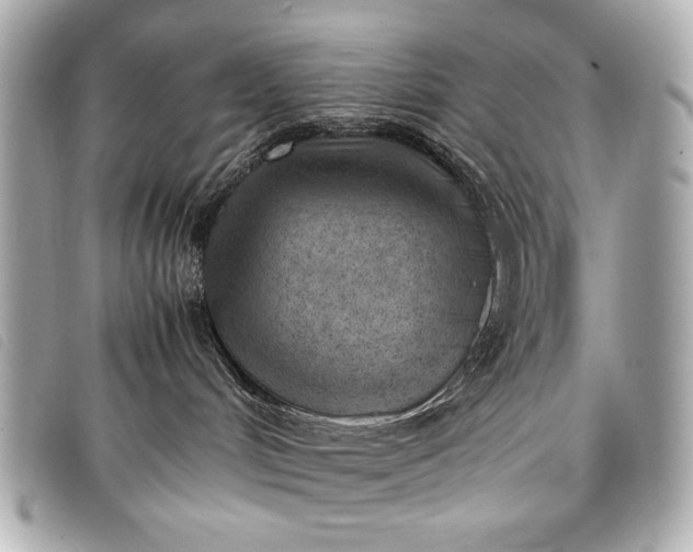 X0000098100048200804181436