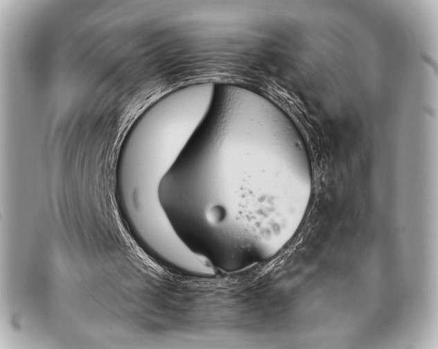 X0000098100049200804181436