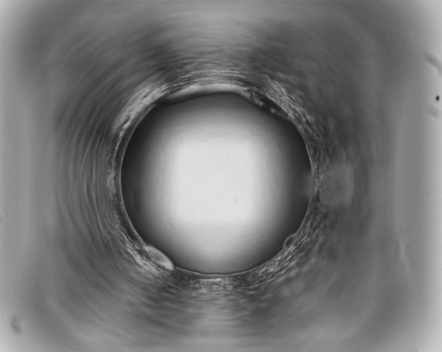 X0000098100050200804181436