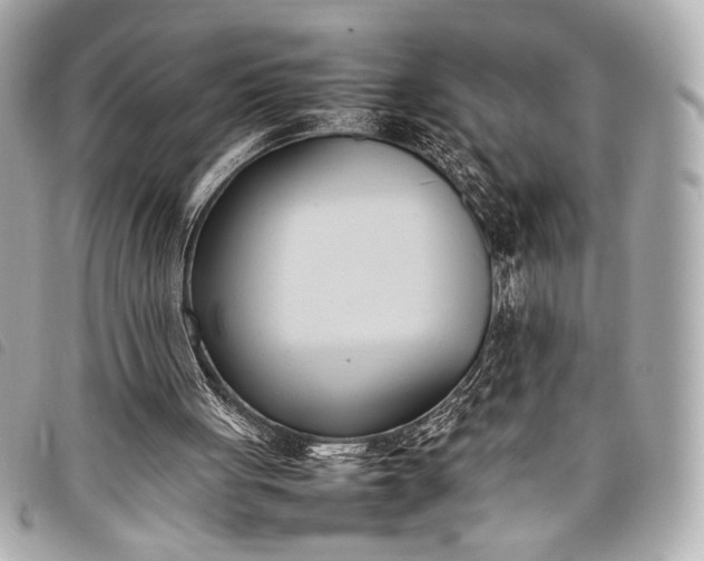 X0000098100051200804181436