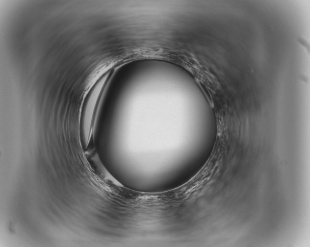 X0000098100052200804181436