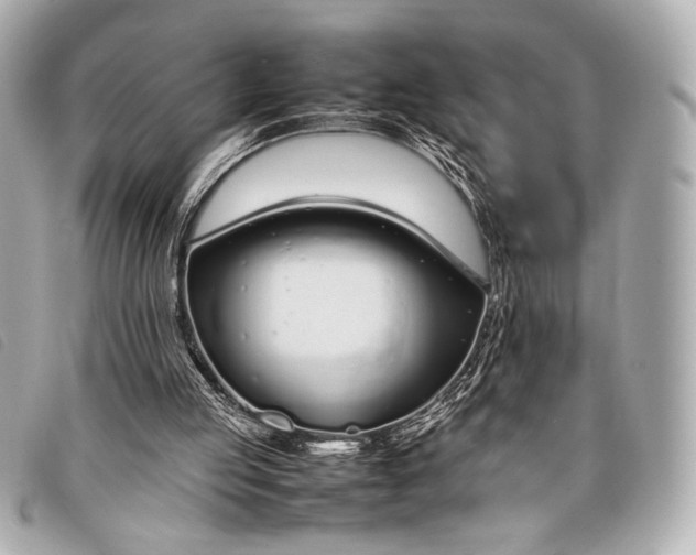 X0000098100053200804181436