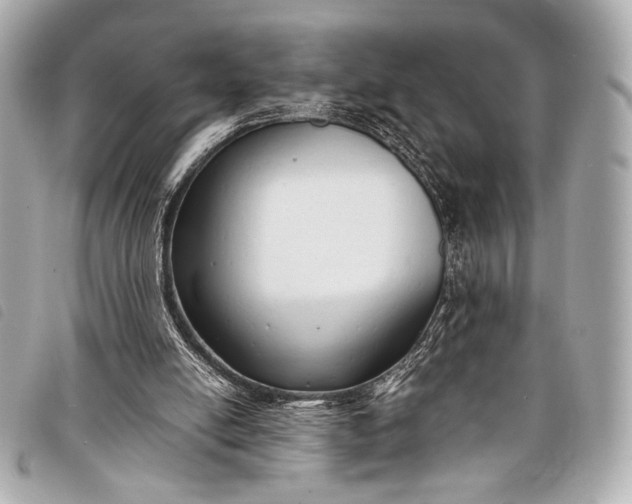 X0000098100054200804181436
