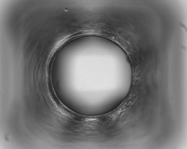 X0000098100055200804181436