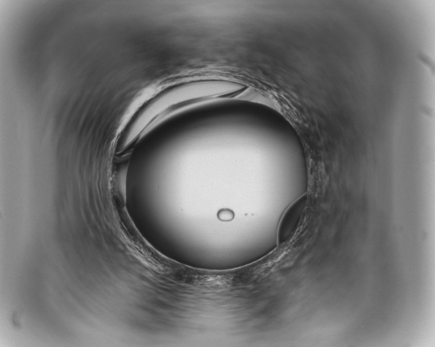 X0000098100056200804181436