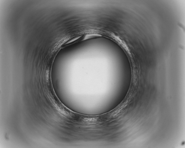 X0000098100057200804181436