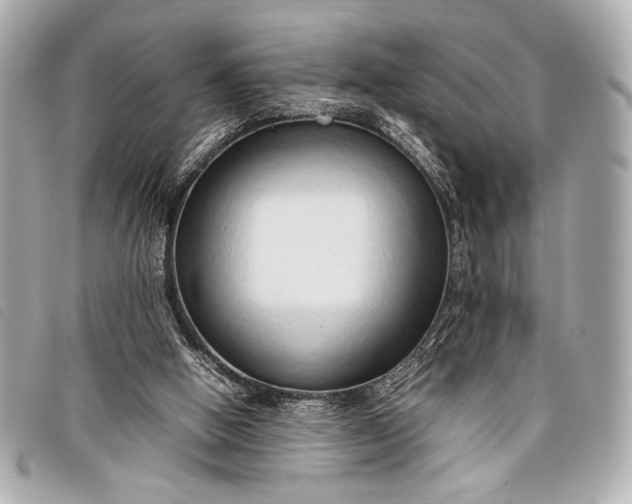 X0000098100058200804181436