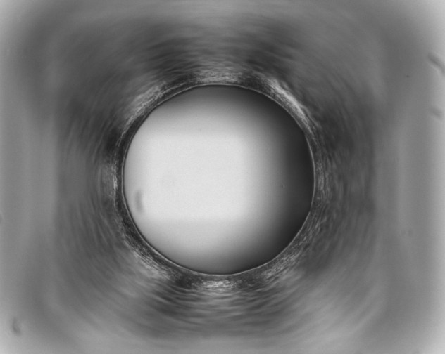 X0000098100059200804181436