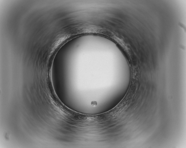 X0000098100060200804181436